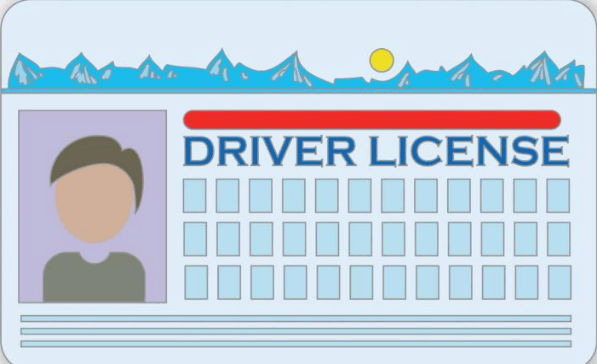 california drivers license check